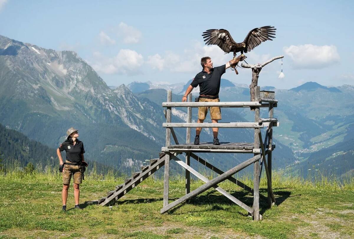 Adlebühne Ahorn